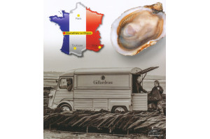 Oester Gillardeau kwekerij