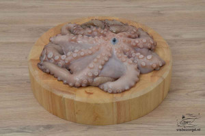 Octopus (pulpo)